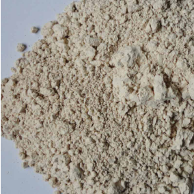 Diatomite Rock For Sale