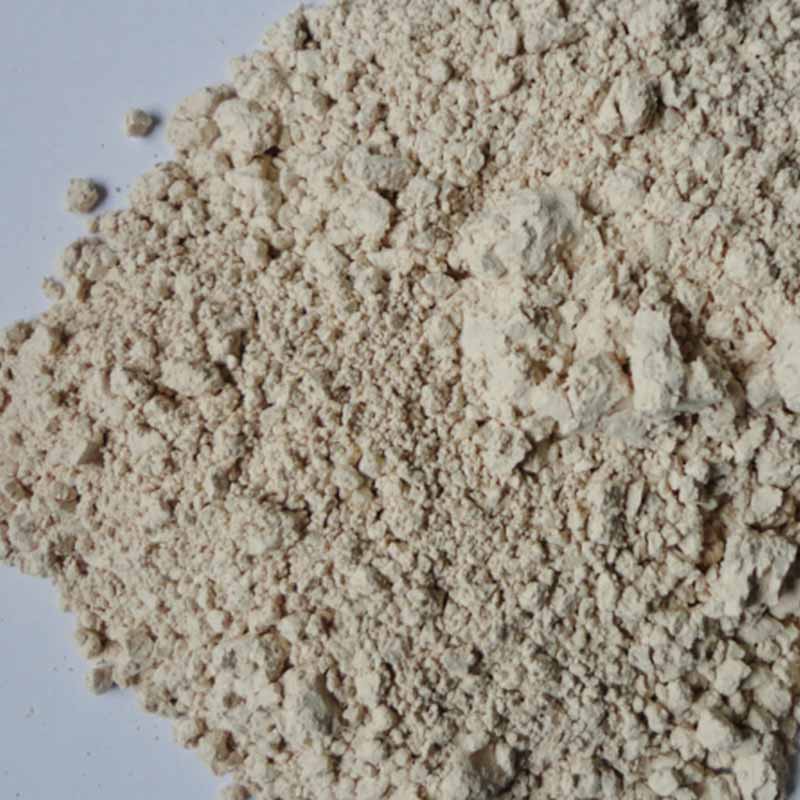 Diatomite