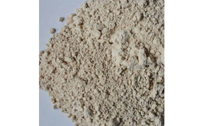 What is Diatomite?