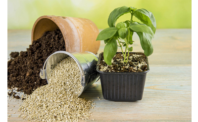 What Is Vermiculite: Tips On Using Vermiculite Growing Medium